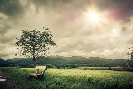 Paysage calme et nostalgique pour le recueillement